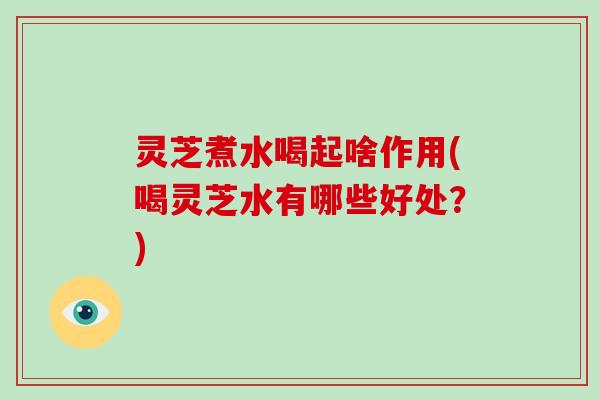 灵芝煮水喝起啥作用(喝灵芝水有哪些好处？)