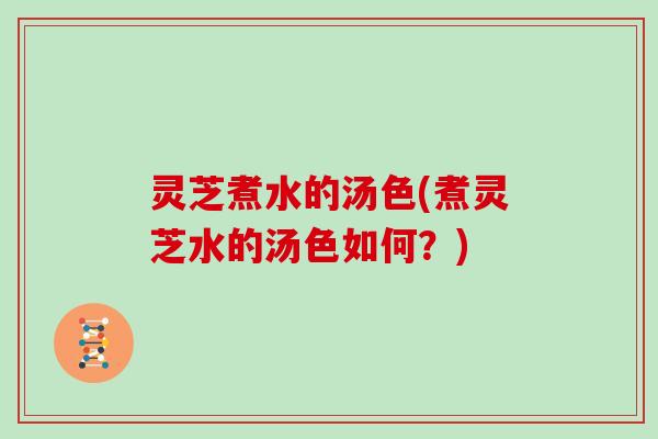 灵芝煮水的汤色(煮灵芝水的汤色如何？)
