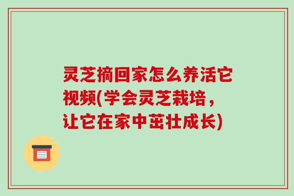 灵芝摘回家怎么养活它视频(学会灵芝栽培，让它在家中茁壮成长)