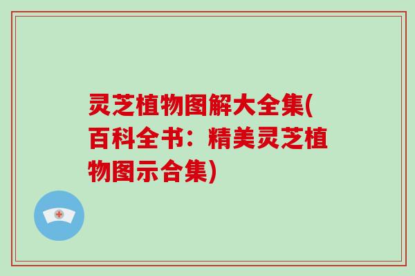 灵芝植物图解大全集(百科全书：精美灵芝植物图示合集)