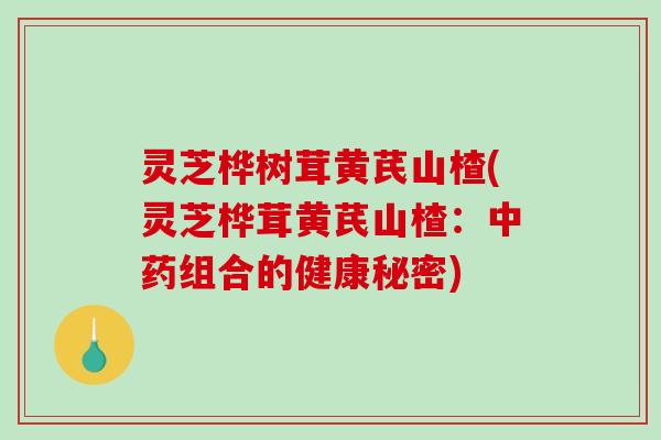 灵芝桦树茸黄芪山楂(灵芝桦茸黄芪山楂：中药组合的健康秘密)
