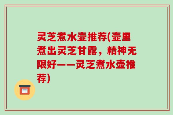 灵芝煮水壶推荐(壶里煮出灵芝甘露，精神无限好——灵芝煮水壶推荐)