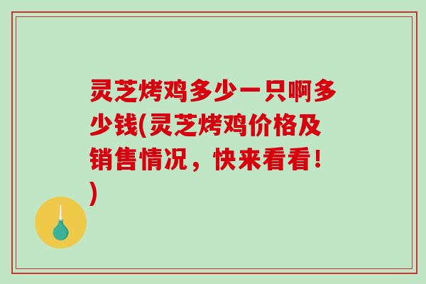 灵芝烤鸡多少一只啊多少钱(灵芝烤鸡价格及销售情况，快来看看！)
