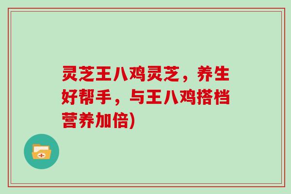 灵芝王八鸡灵芝，养生好帮手，与王八鸡搭档营养加倍)
