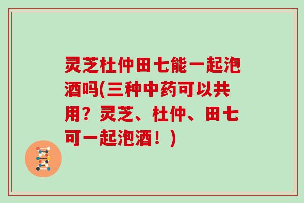 灵芝杜仲田七能一起泡酒吗(三种中药可以共用？灵芝、杜仲、田七可一起泡酒！)