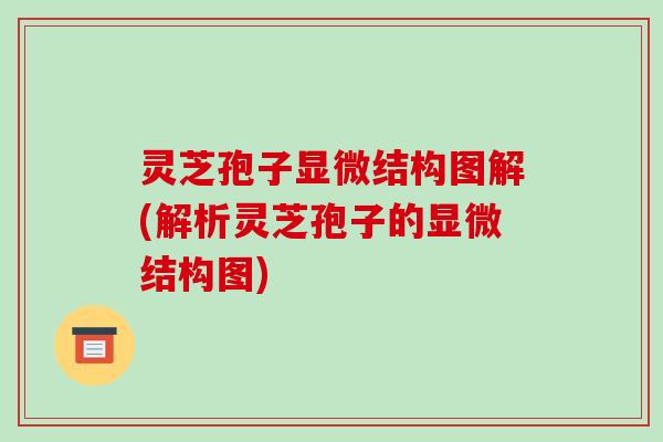 灵芝孢子显微结构图解(解析灵芝孢子的显微结构图)