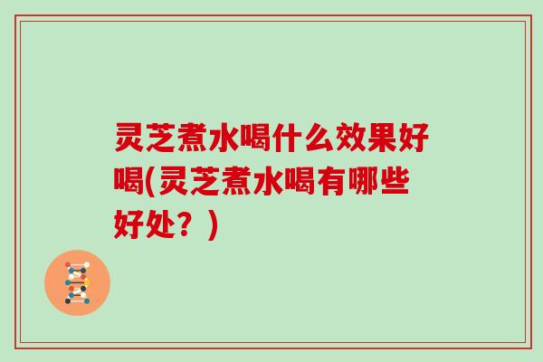 灵芝煮水喝什么效果好喝(灵芝煮水喝有哪些好处？)