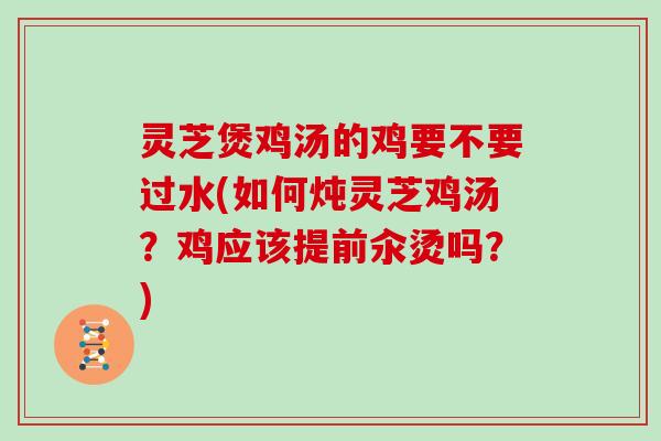 灵芝煲鸡汤的鸡要不要过水(如何炖灵芝鸡汤？鸡应该提前汆烫吗？)