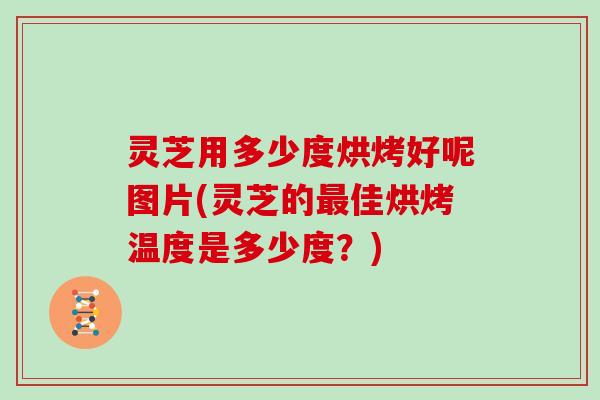 灵芝用多少度烘烤好呢图片(灵芝的佳烘烤温度是多少度？)