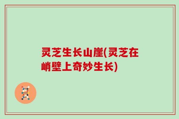 灵芝生长山崖(灵芝在峭壁上奇妙生长)