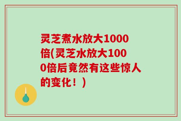 灵芝煮水放大1000倍(灵芝水放大1000倍后竟然有这些惊人的变化！)