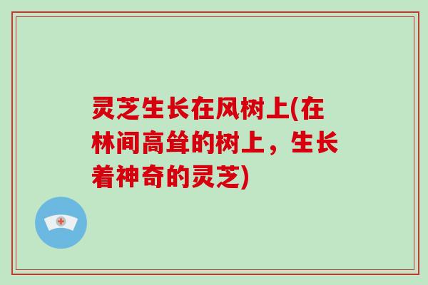 灵芝生长在风树上(在林间高耸的树上，生长着神奇的灵芝)