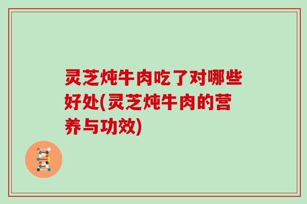 灵芝炖牛肉吃了对哪些好处(灵芝炖牛肉的营养与功效)