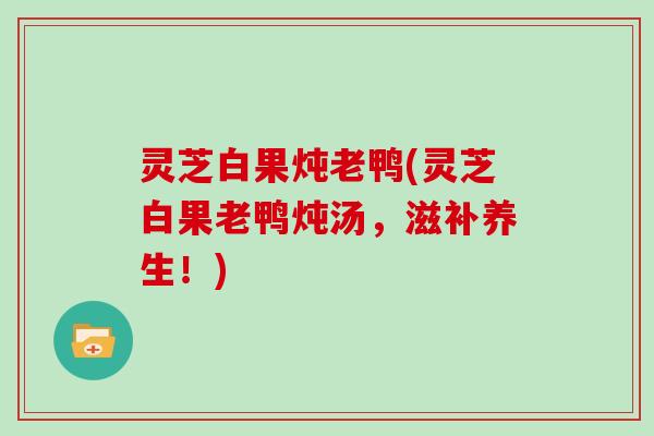 灵芝白果炖老鸭(灵芝白果老鸭炖汤，滋补养生！)
