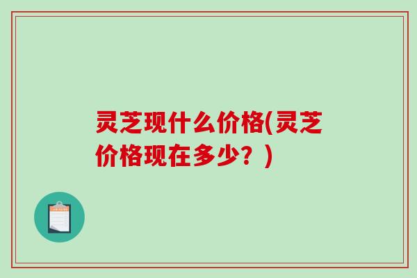 灵芝现什么价格(灵芝价格现在多少？)