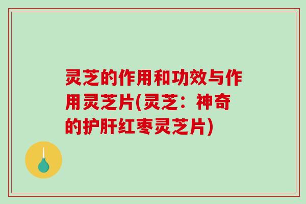 灵芝的作用和功效与作用灵芝片(灵芝：神奇的护肝红枣灵芝片)