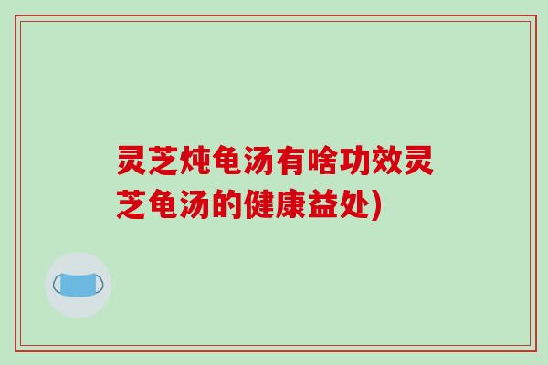 灵芝炖龟汤有啥功效灵芝龟汤的健康益处)
