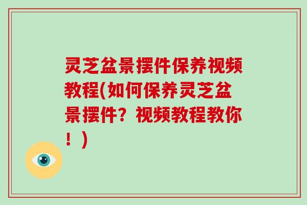 灵芝盆景摆件保养视频教程(如何保养灵芝盆景摆件？视频教程教你！)