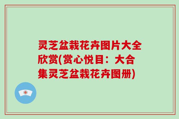 灵芝盆栽花卉图片大全欣赏(赏心悦目：大合集灵芝盆栽花卉图册)