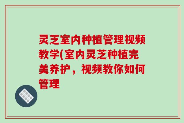 灵芝室内种植管理视频教学(室内灵芝种植完美养护，视频教你如何管理