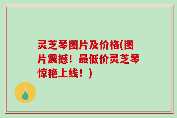 灵芝琴图片及价格(图片震撼！最低价灵芝琴惊艳上线！)