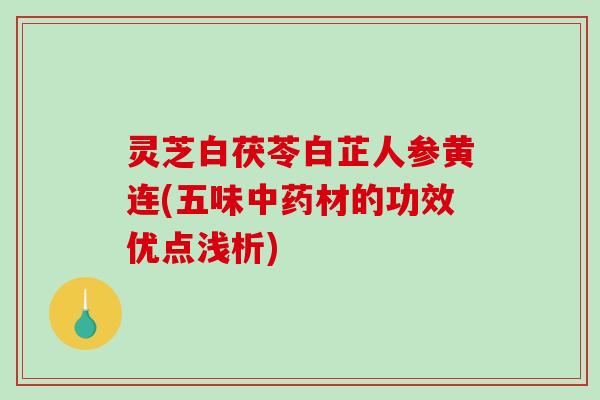 灵芝白茯苓白芷人参黄连(五味材的功效优点浅析)