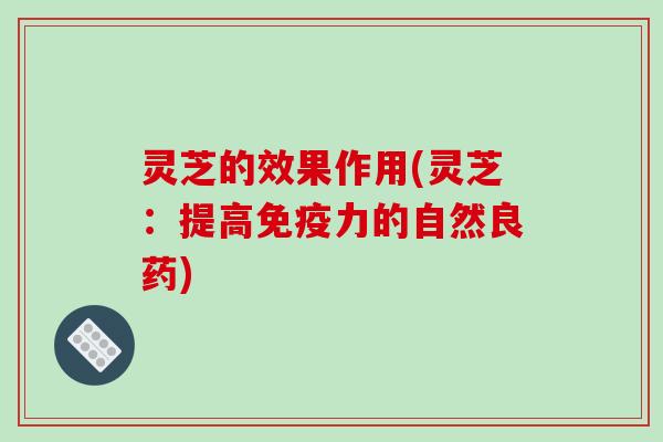 灵芝的效果作用(灵芝：提高免疫力的自然良药)
