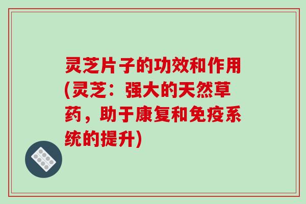 灵芝片子的功效和作用(灵芝：强大的天然草药，助于康复和免疫系统的提升)