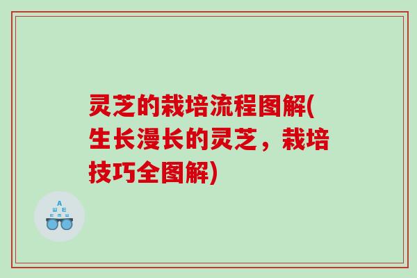 灵芝的栽培流程图解(生长漫长的灵芝，栽培技巧全图解)