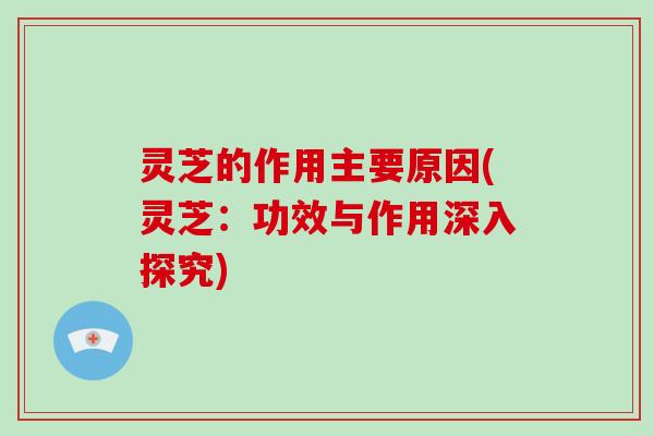灵芝的作用主要原因(灵芝：功效与作用深入探究)