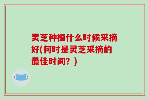灵芝种植什么时候采摘好(何时是灵芝采摘的佳时间？)