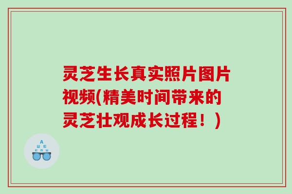 灵芝生长真实照片图片视频(精美时间带来的灵芝壮观成长过程！)