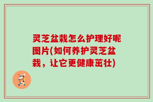 灵芝盆栽怎么护理好呢图片(如何养护灵芝盆栽，让它更健康茁壮)