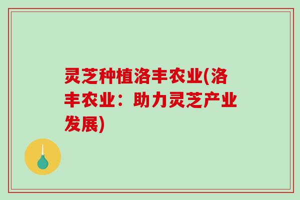 灵芝种植洛丰农业(洛丰农业：助力灵芝产业发展)