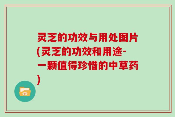 灵芝的功效与用处图片(灵芝的功效和用途-一颗值得珍惜的中草药)