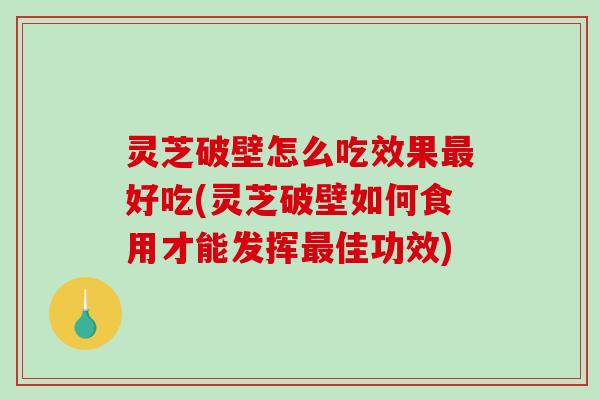 灵芝破壁怎么吃效果好吃(灵芝破壁如何食用才能发挥佳功效)