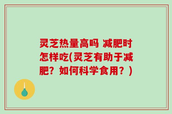 灵芝热量高吗 时怎样吃(灵芝有助于？如何科学食用？)