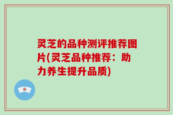 灵芝的品种测评推荐图片(灵芝品种推荐：助力养生提升品质)