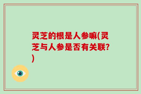 灵芝的根是人参嘛(灵芝与人参是否有关联？)
