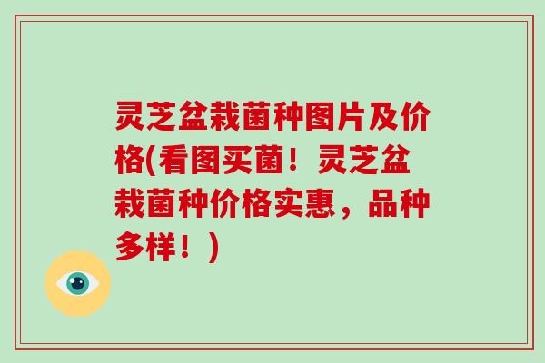 灵芝盆栽菌种图片及价格(看图买菌！灵芝盆栽菌种价格实惠，品种多样！)