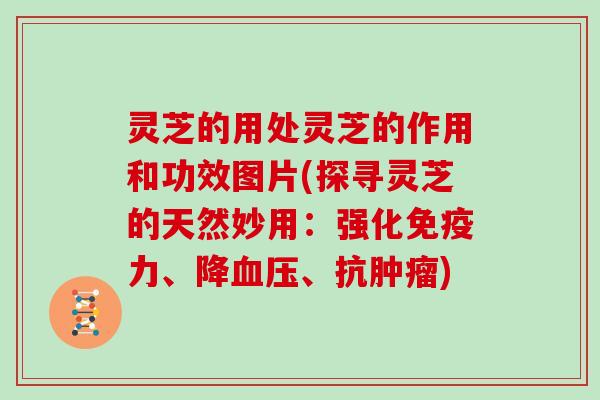 灵芝的用处灵芝的作用和功效图片(探寻灵芝的天然妙用：强化免疫力、降、抗)