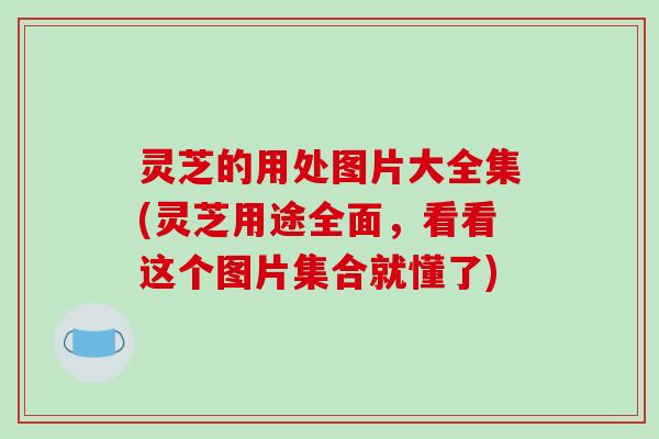 灵芝的用处图片大全集(灵芝用途全面，看看这个图片集合就懂了)