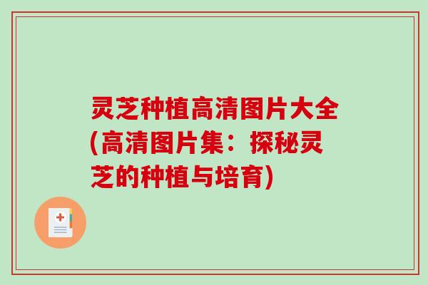 灵芝种植高清图片大全(高清图片集：探秘灵芝的种植与培育)