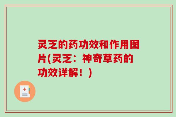灵芝的药功效和作用图片(灵芝:神奇草药的功效详解!) 灵芝的药功效和作用图片(灵芝:神奇草药的功效详解!)