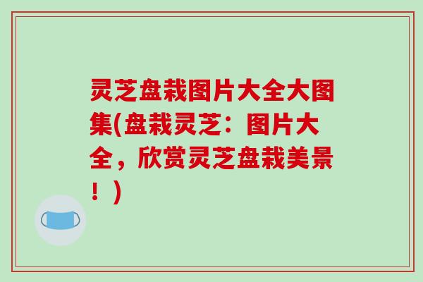 灵芝盘栽图片大全大图集(盘栽灵芝：图片大全，欣赏灵芝盘栽美景！)