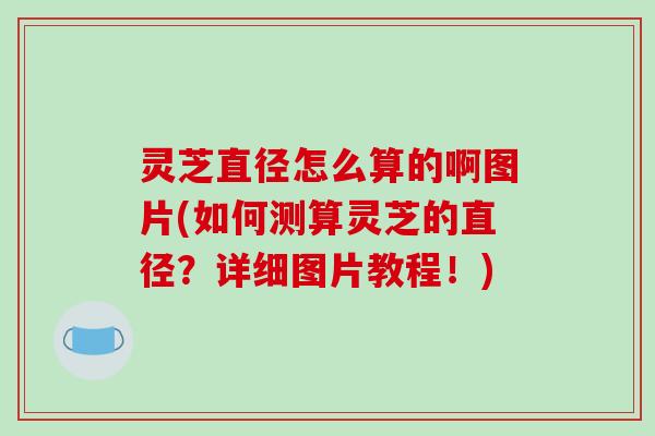 灵芝直径怎么算的啊图片(如何测算灵芝的直径？详细图片教程！)