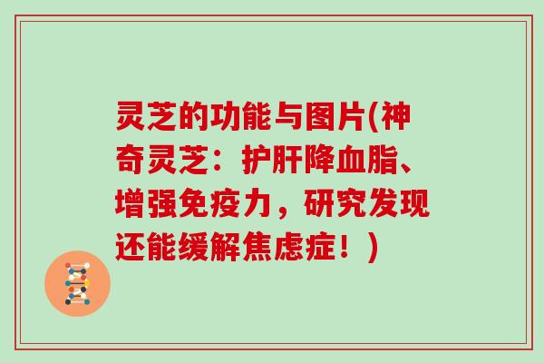 灵芝的功能与图片(神奇灵芝：降、增强免疫力，研究发现还能缓解症！)