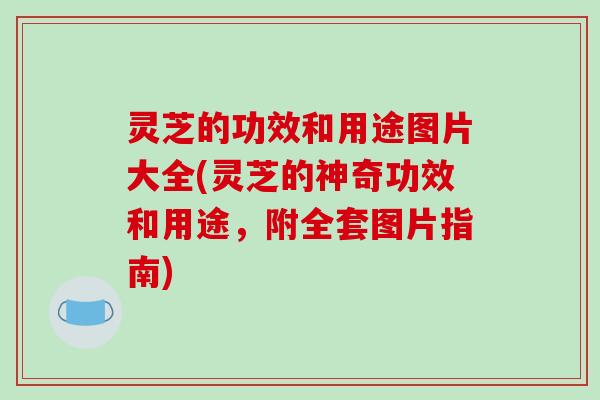 灵芝的功效和用途图片大全(灵芝的神奇功效和用途，附全套图片指南)