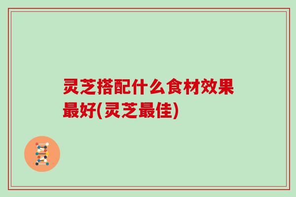 灵芝搭配什么食材效果最好(灵芝最佳)