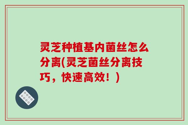 灵芝种植基内菌丝怎么分离(灵芝菌丝分离技巧，快速高效！)